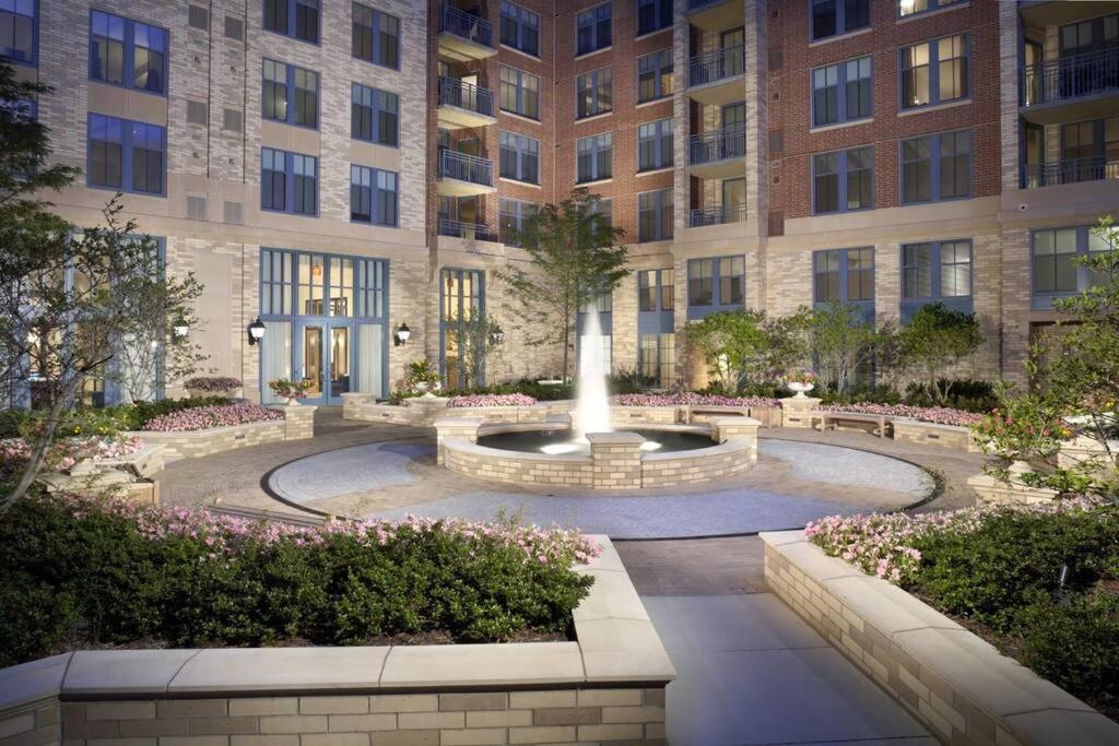 Bright And Cozy Apartment Near Pentagon City Arlington Luaran gambar