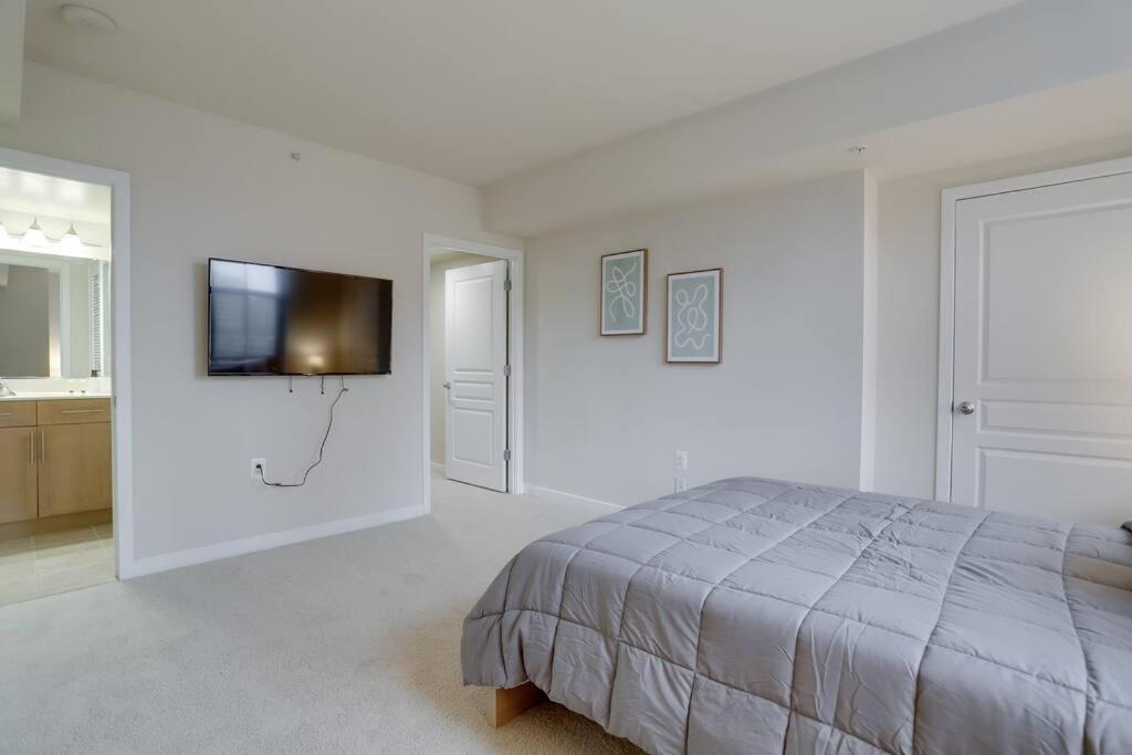 Bright And Cozy Apartment Near Pentagon City Arlington Luaran gambar